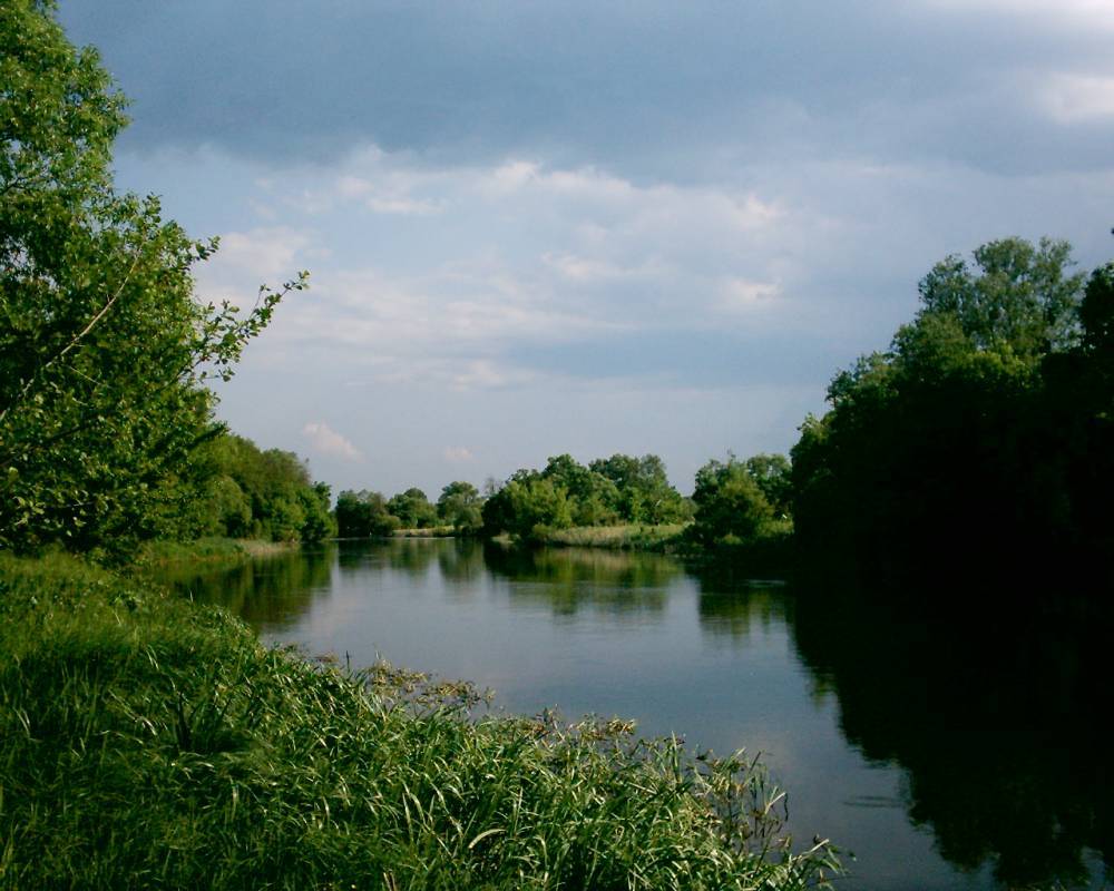 Загрязнение на Украине реки Роси химикатами может привести к экологической катастрофе национального масштаба
