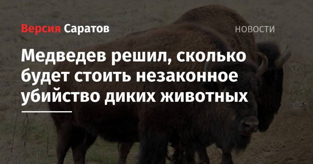 Медведев решил, сколько будет стоить незаконное убийство диких животных