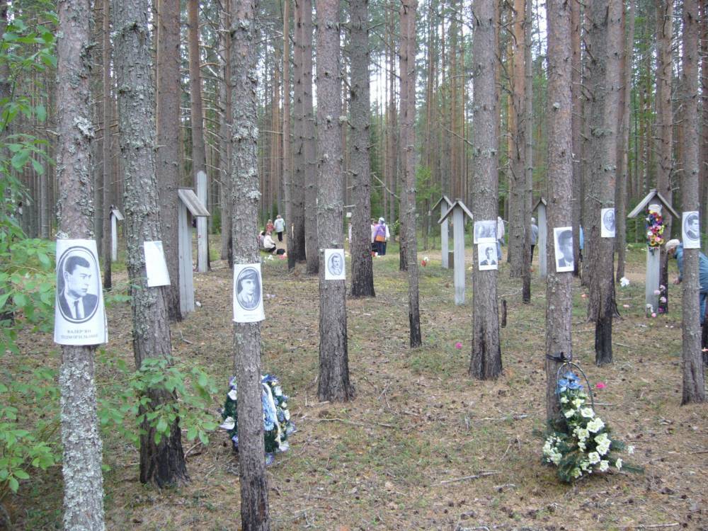 Власти Карелии попросили понизить охранный статус кладбища жертв политических репрессий. Там можно будет вести земляные работы и строительство