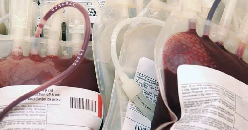Найден способ сделать любую донорскую кровь универсальной