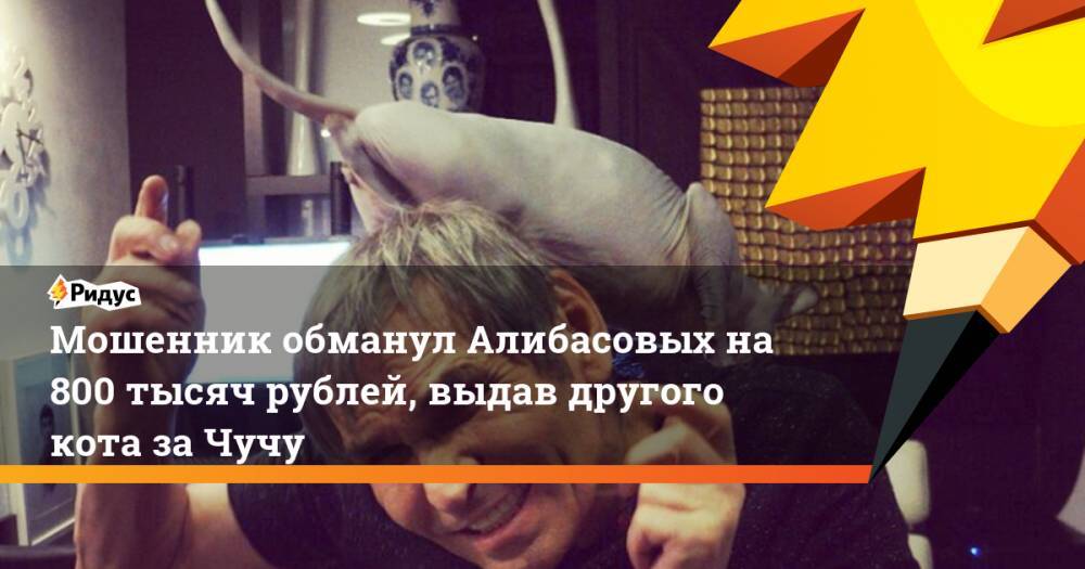 Мошенник обманул Алибасовых на 800 тысяч рублей, выдав другого кота за Чучу