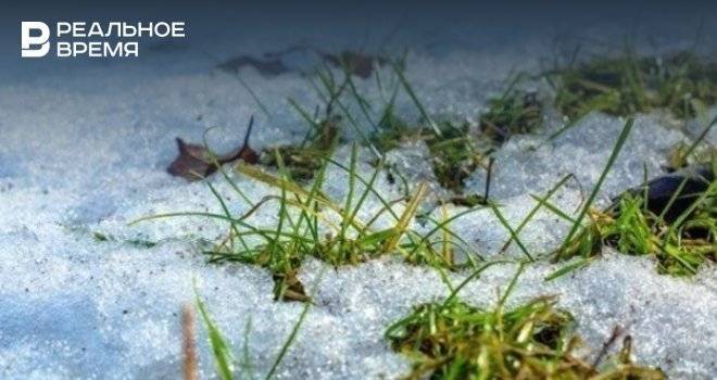 Гидрометцентр Татарстана объявил штормовое предупреждение из-за заморозков