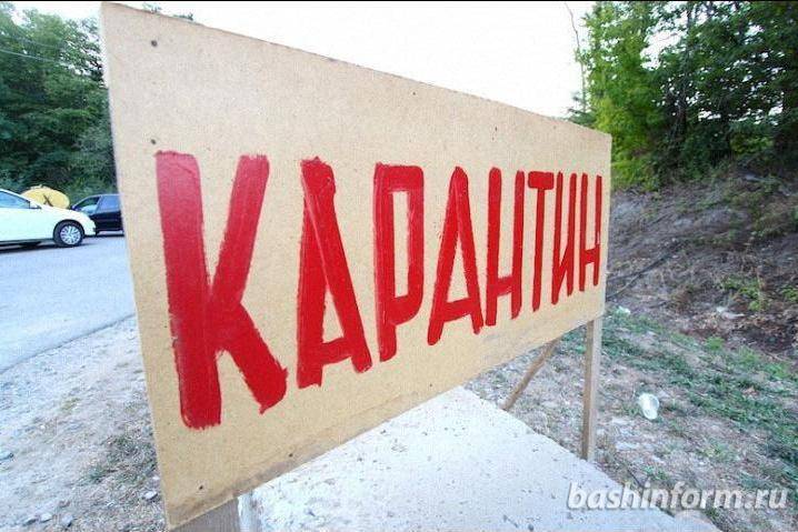 В Бураевском районе Башкирии введен карантин по бешенству