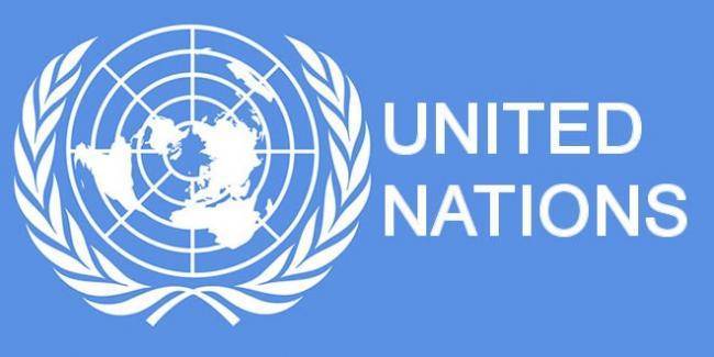 ООН: На Донбассе погибли более 3300 мирных жителей - gogetnews.info - Украина
