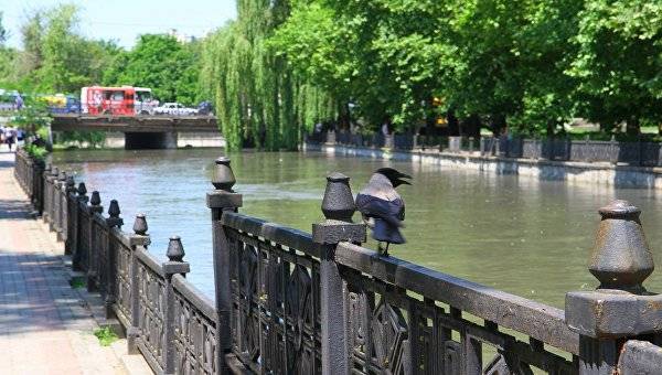 Вода прибывает: в Крыму предупредили о подъеме уровня рек