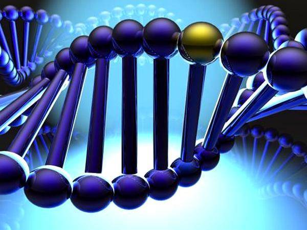 ДНК генеалогия — новое измерение поисков кровной родни