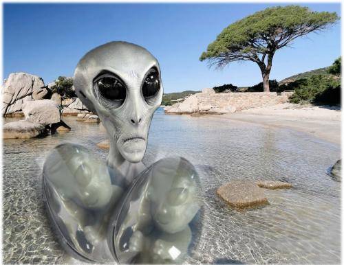 Водяные эмбрионы. У берегов Франции сфотографировали «вылупляющихся» гуманоидов