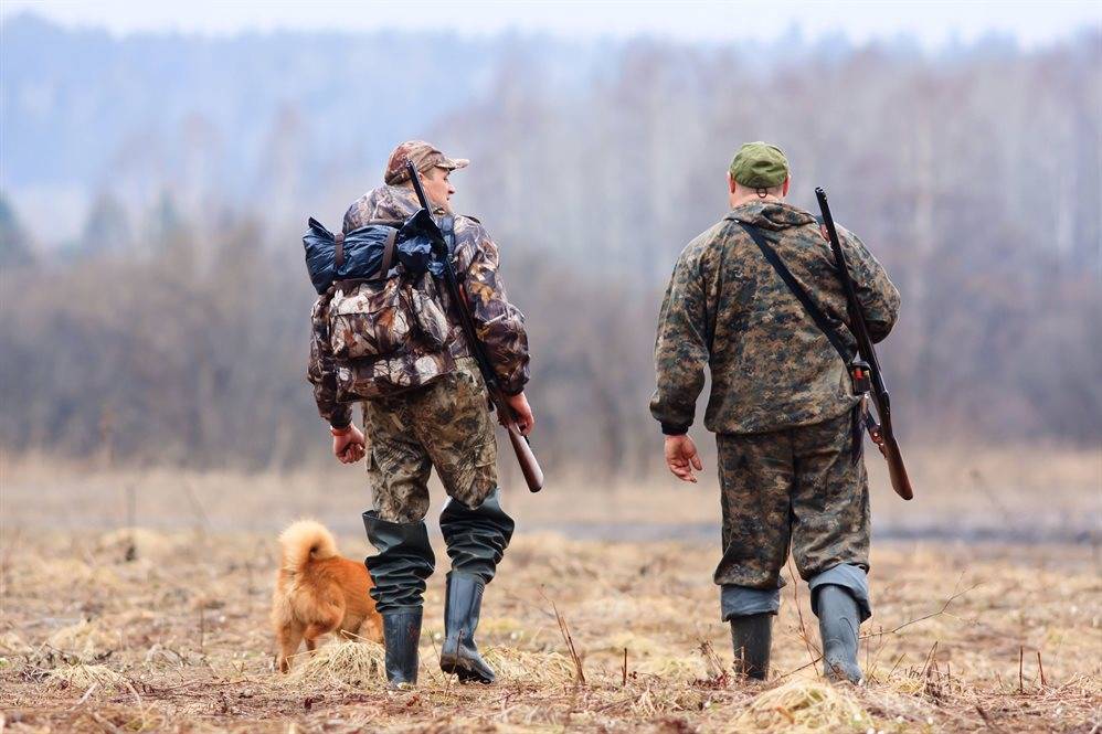Жребий не брошен, или Как в Ульяновской области продают разрешения на охоту