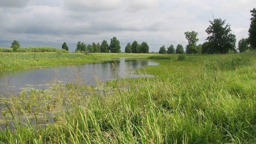 В Кировской области потратят 20 млн рублей на сохранение особо охраняемых территорий