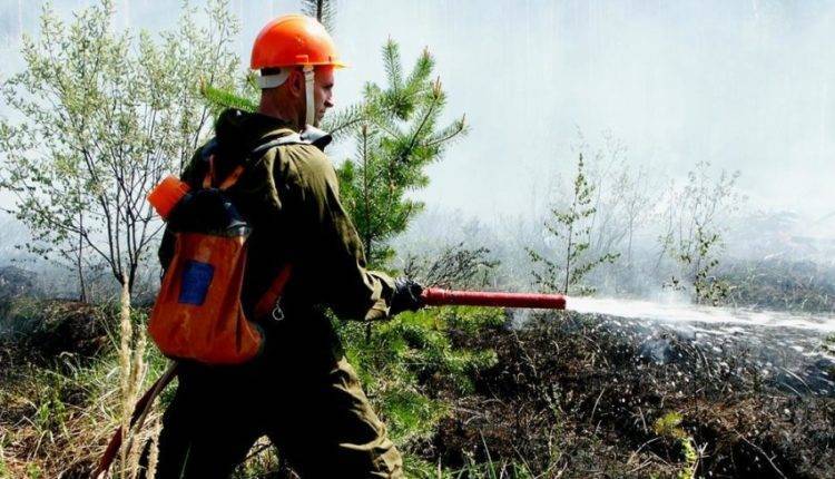 Под Самарой к тушению лесного пожара привлечены 155 человек