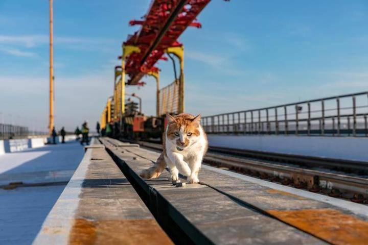 Строители завершили укладку рельсов на первом пути Крымского моста