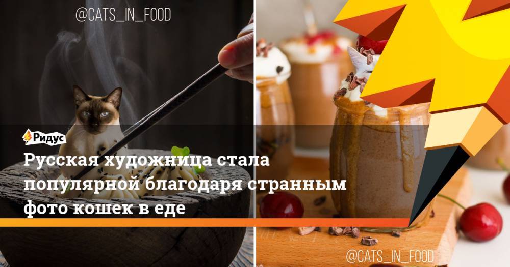 Русская художница стала популярной благодаря странным фото кошек в еде