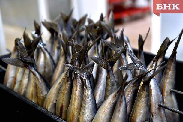 В Коми надзорные органы не успевают изъять из розничного оборота рыбу с мышьяком до ее продажи