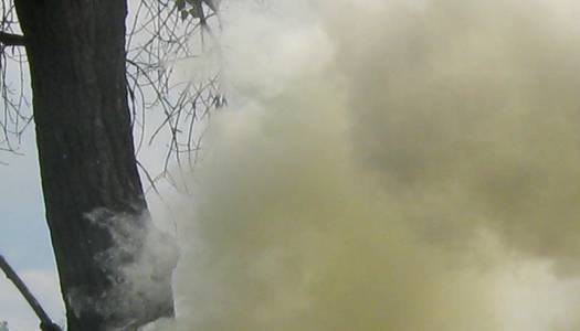 Пожар в Одесской области: погиб хозяин дома