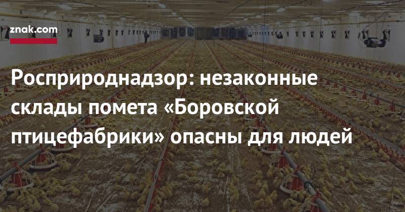 Росприроднадзор: незаконные склады помета «Боровской птицефабрики» опасны для людей
