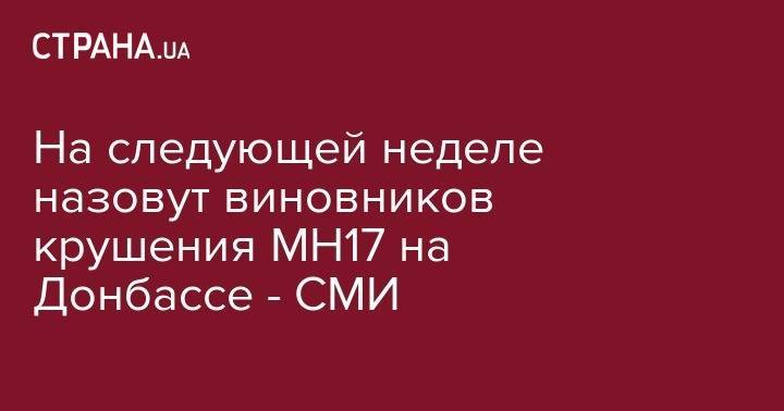 На следующей неделе назовут виновников крушения MH17 на Донбассе - СМИ