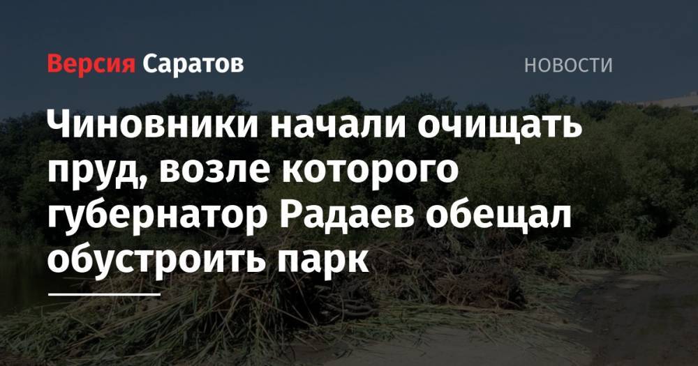 Чиновники начали очищать пруд, возле которого губернатор Радаев обещал обустроить парк
