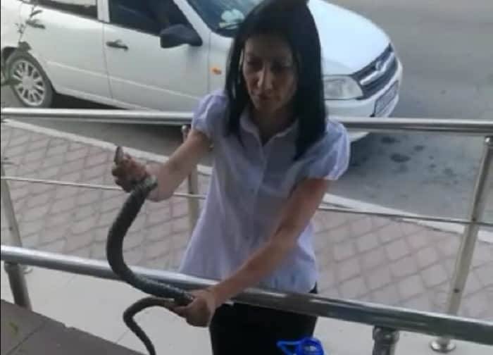 Крупная змея заползла в Центр обслуживания потребителей в Актау