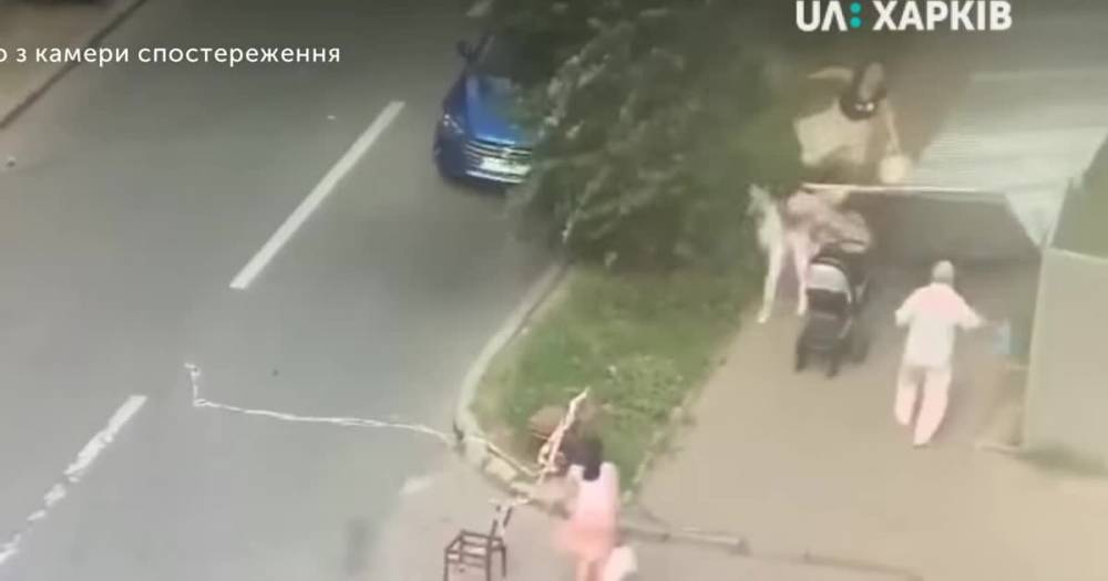 В Харькове металлическая ограда упала на женщину с детской коляской и ее дочь. Инцидент попал на видео