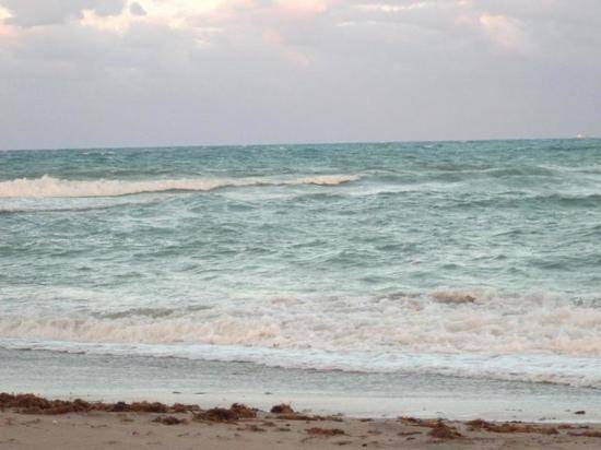 Климатологи предсказали появление «мертвой зоны» в Мексиканском заливе