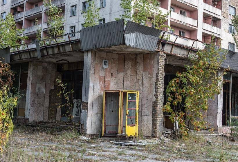 Учёные из США отметили стремительную способность природы в Чернобыле к восстановлению