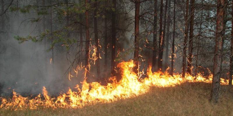 12-летняя школьница не дождалась пожарных и 4 часа сама тушила огонь