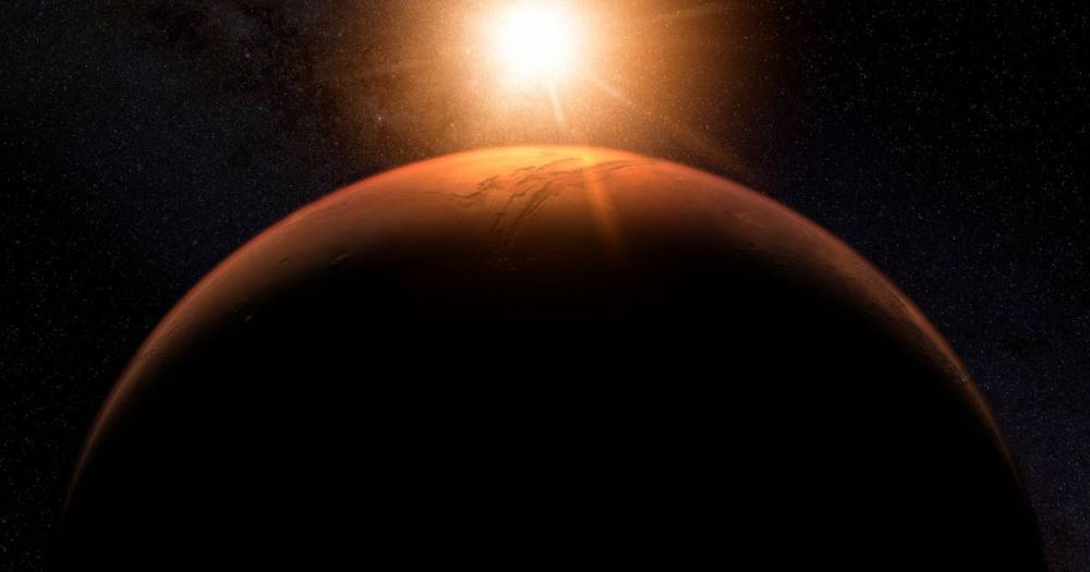 Прическа Трампа, огромный пенис и знак из Стар Трека: 10 самых странных снимков поверхности Марса