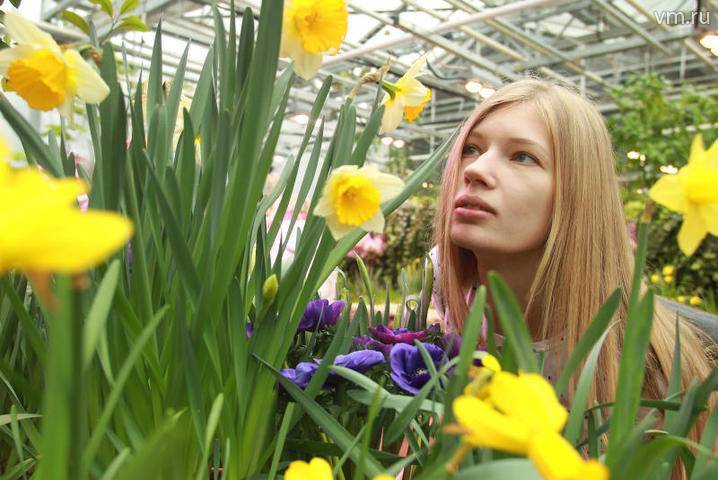 Около трех тысяч многолетних растений посадят в центре Москвы