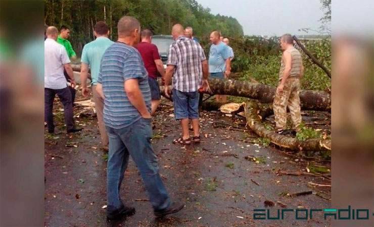 «Деревья падали на трассу». В 95 километрах от Минска прошёл смерч