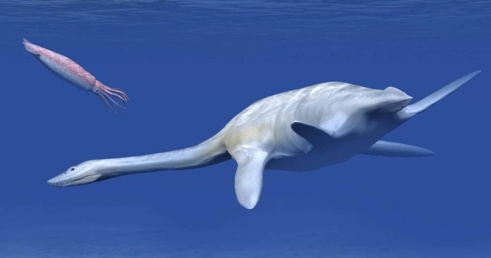 Древняя рептилия из&nbsp;Антарктиды побила рекорд по&nbsp;размерам тела