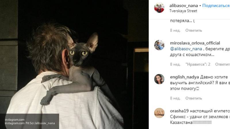 Видео с возвращением кота Алибасова попало в Сеть