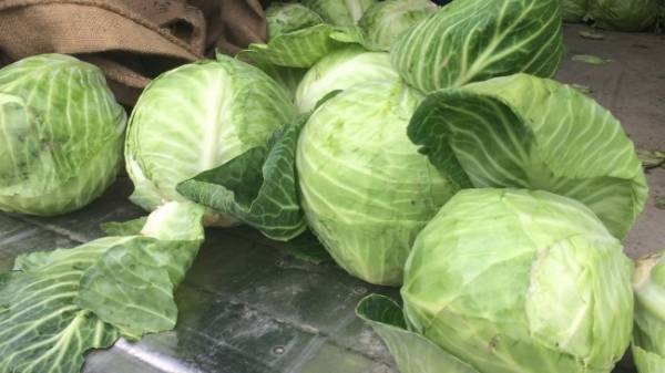 В Акбулакском районе уничтожили 7 тонн зараженных овощей из Казахстана