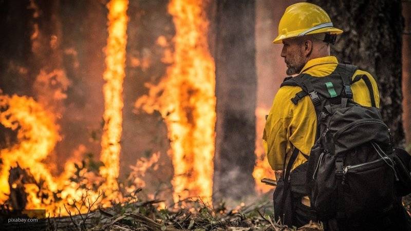 Лесной пожар площадью в 500 гектаров произошел в Улан-Удэ