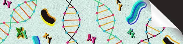 Не геном единым жив человек
