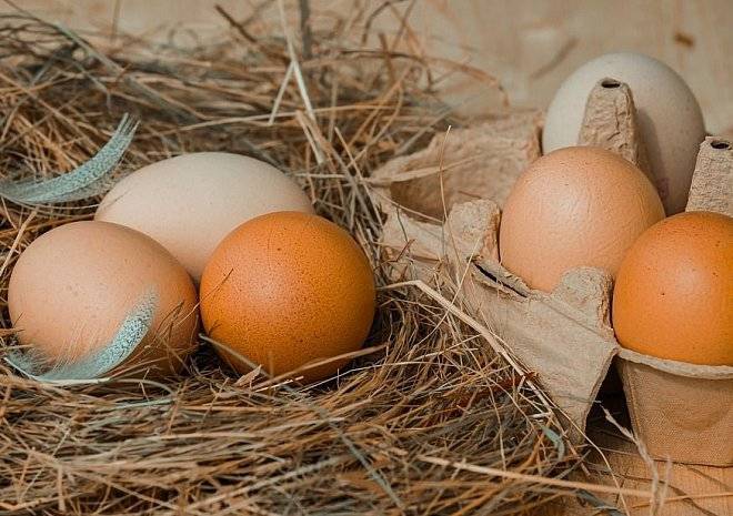 В Шацком районе уничтожили около двух тысяч яиц