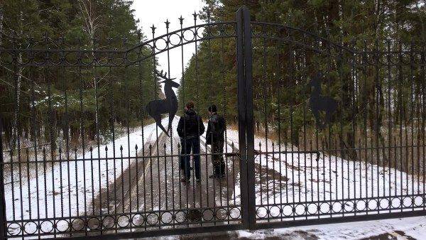 Охотничьи угодья Януковича ждут статус национального парка