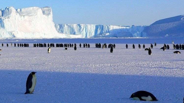 Минобороны продолжит практику присвоения станциям в Антарктиде имен россиян