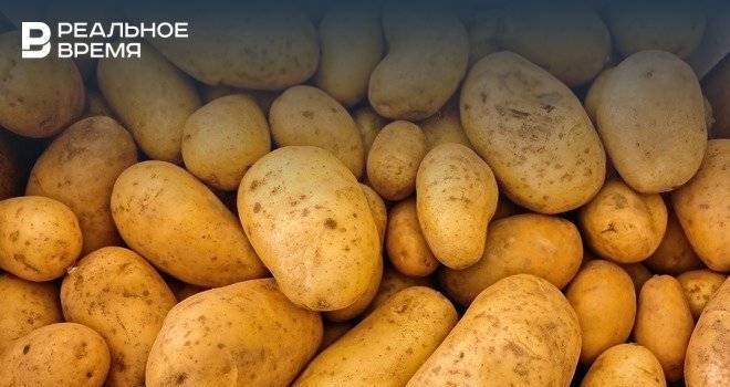 В Башкирии зафиксирован рост цен на картофель