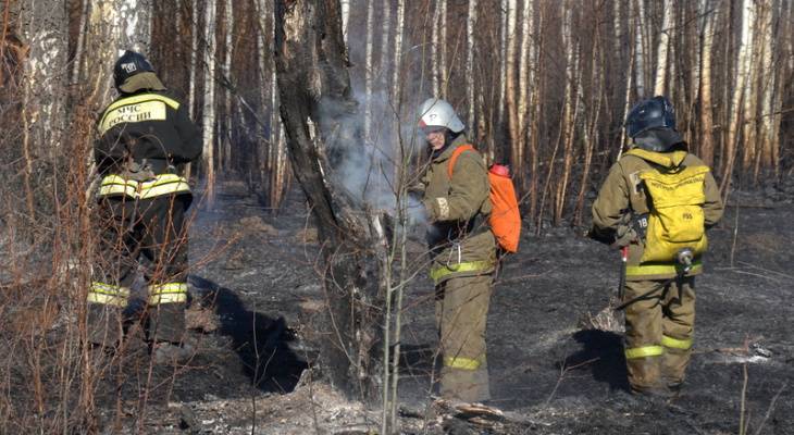 134 жителя Чувашии привлечены к ответственности за разведение костров и сжигание травы