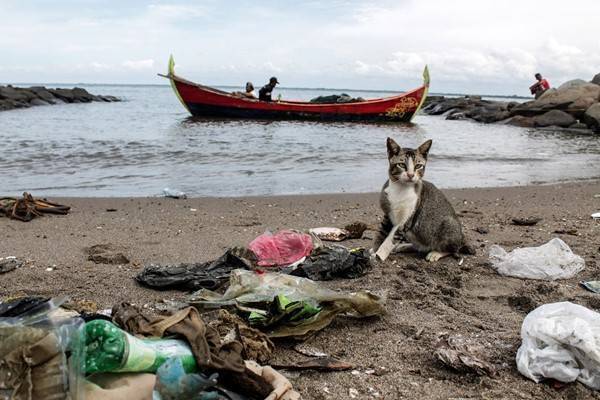 Страны G20 договорились сократить объёмы пластикового мусора в океане