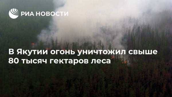В Якутии огонь уничтожил свыше 80 тысяч гектаров леса