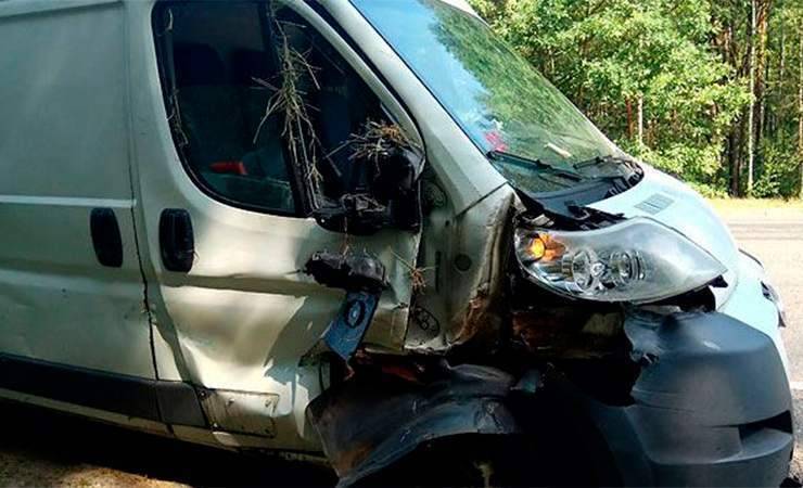 Водитель мотоблока и девочка-пассажир пострадали в ДТП в Речицком районе — фото