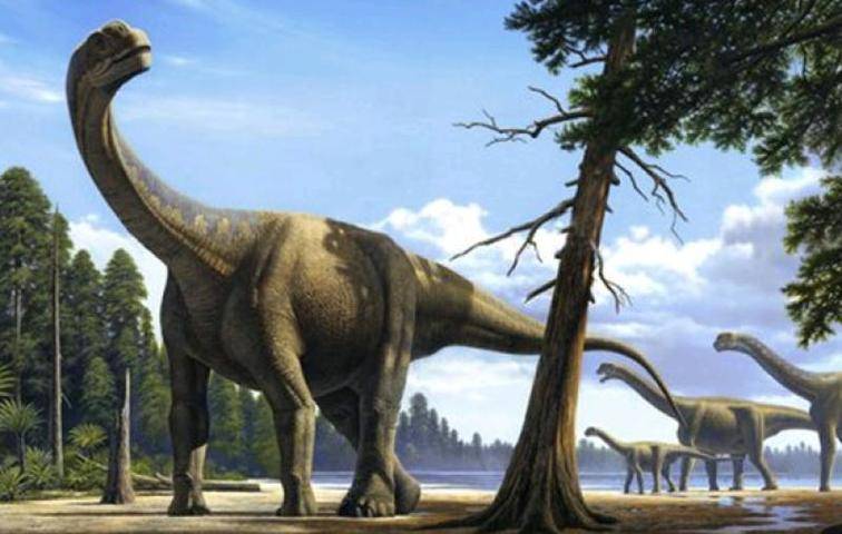 Ученые обнаружили следы динозавра, которым около 100 миллионов лет
