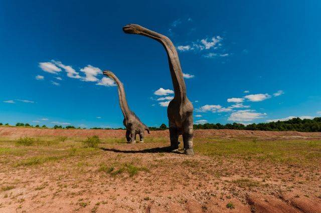 В Китае найдены следы динозавров, которым около 100 млн лет