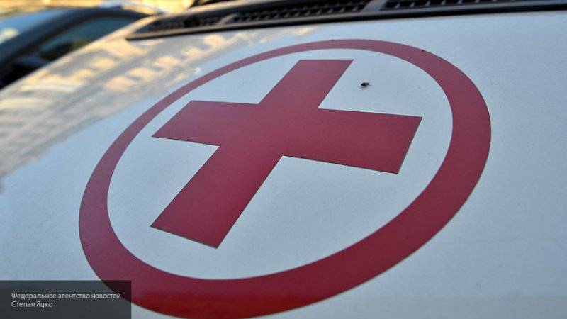 Красный Крест Эстонии попросил убрать символ креста из спектакля "Доктор Айболит"