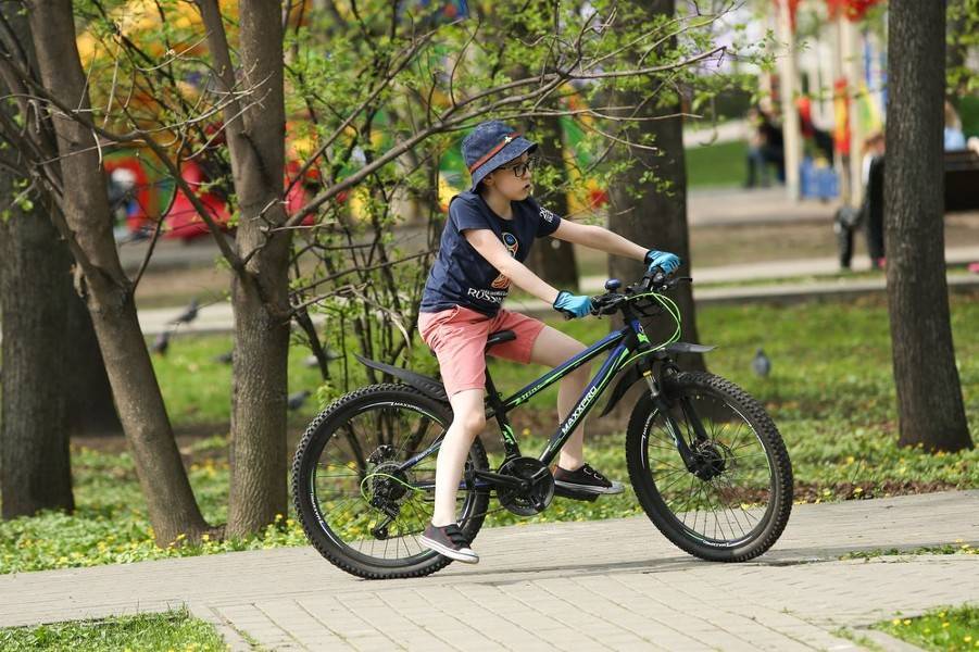 Велоэкскурсия в парке "Кузьминки-Люблино" пройдет 20 июня