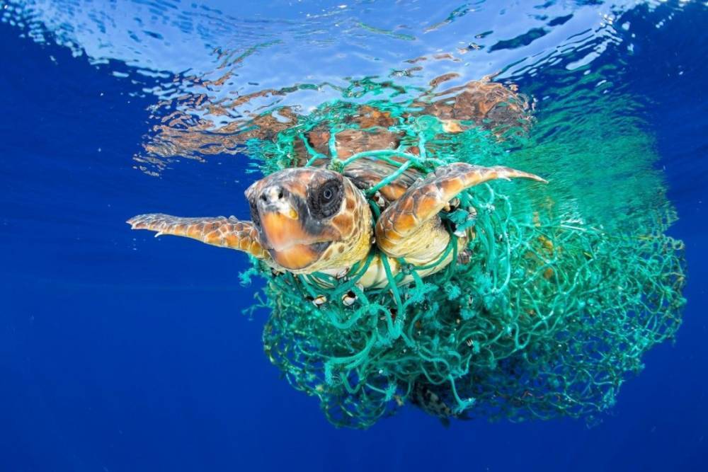 На G20 договорились о борьбе с пластиком в океанах