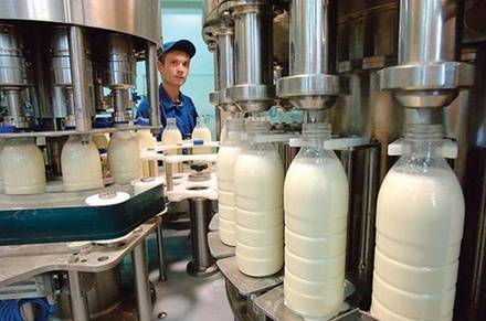 Работникам фермы выдали зарплату молоком в Дальнеконстантиновском районе