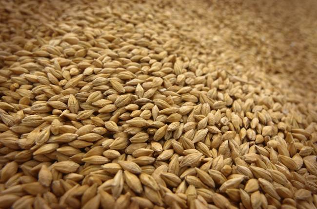 Україна експортувала майже 44 млн тонн зерна