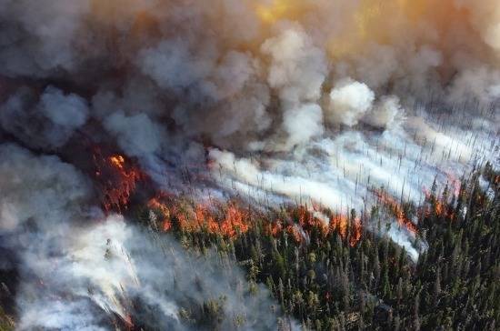 Минэкономразвития подготовило проект об изъятии земли за нарушение пожарной безопасности